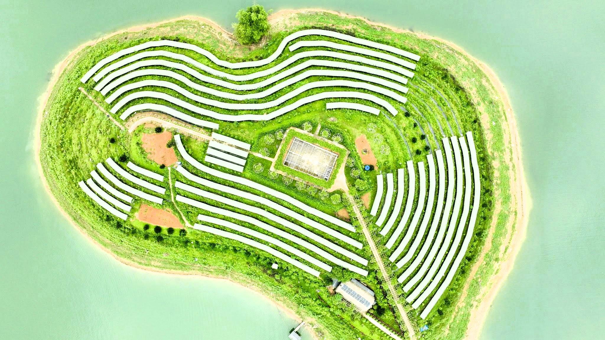 he believes the article